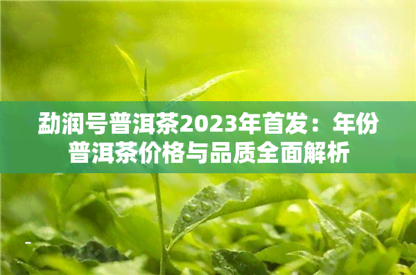 勐润号普洱茶2023年首发：年份普洱茶价格与品质全面解析