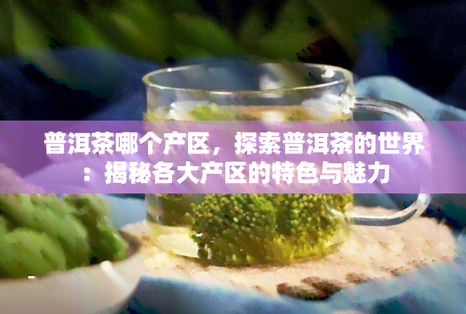 普洱茶哪个产区，探索普洱茶的世界：揭秘各大产区的特色与魅力