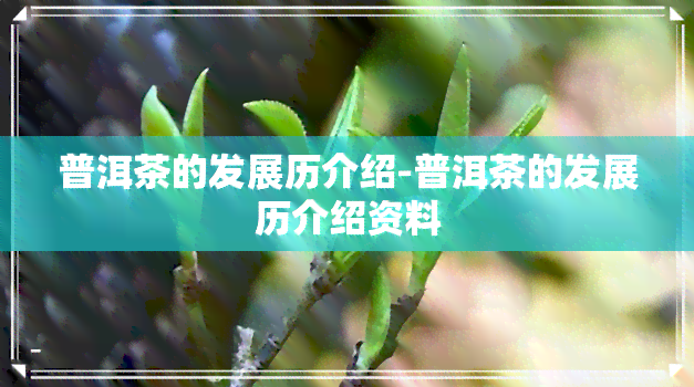 普洱茶的发展历介绍-普洱茶的发展历介绍资料