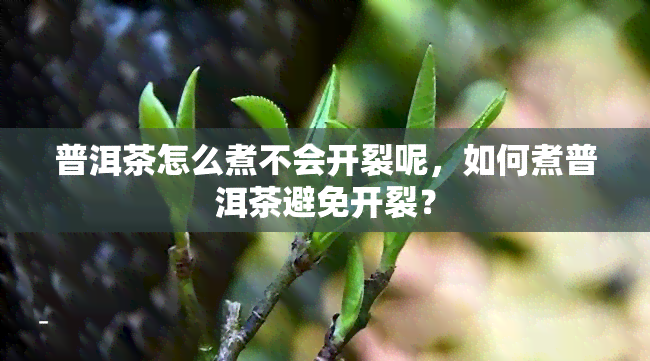 普洱茶怎么煮不会开裂呢，如何煮普洱茶避免开裂？