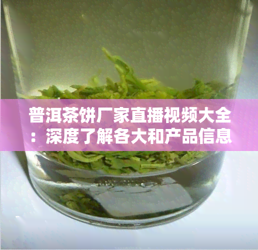 普洱茶饼厂家直播视频大全：深度了解各大和产品信息