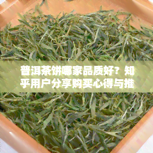 普洱茶饼哪家品质好？知乎用户分享购买心得与推荐