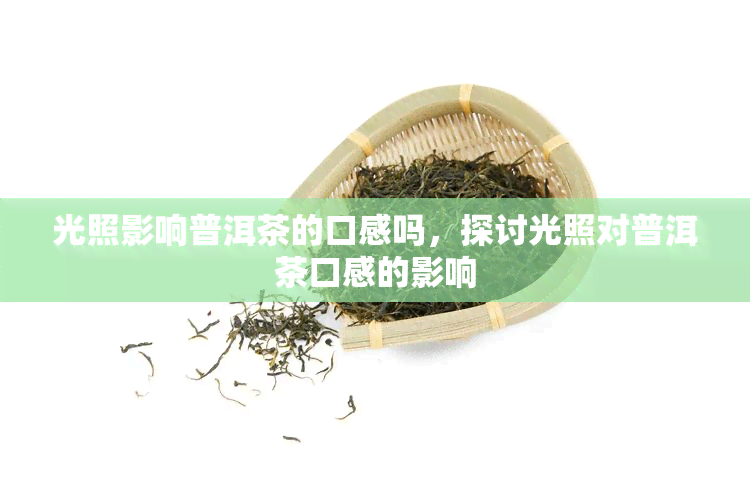 光照影响普洱茶的口感吗，探讨光照对普洱茶口感的影响