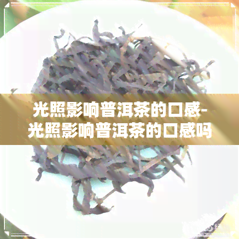 光照影响普洱茶的口感-光照影响普洱茶的口感吗