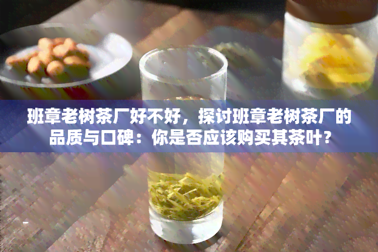 班章老树茶厂好不好，探讨班章老树茶厂的品质与口碑：你是否应该购买其茶叶？