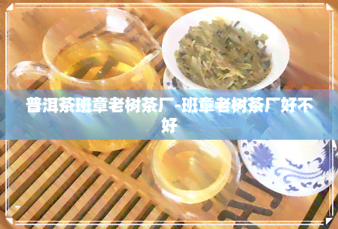 普洱茶班章老树茶厂-班章老树茶厂好不好