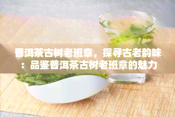 普洱茶古树老班章，探寻古老韵味：品鉴普洱茶古树老班章的魅力