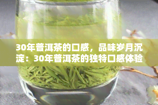 30年普洱茶的口感，品味岁月沉淀：30年普洱茶的独特口感体验