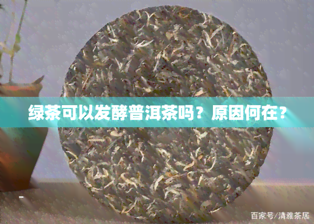 绿茶可以发酵普洱茶吗？原因何在？