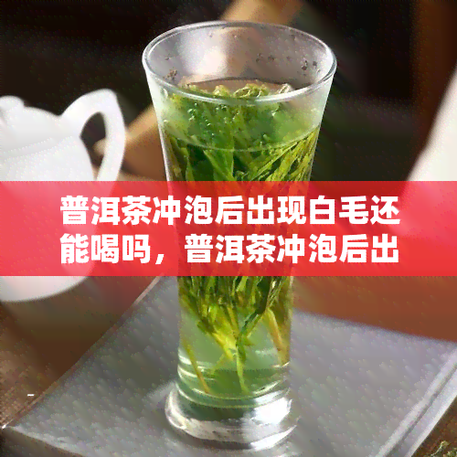 普洱茶冲泡后出现白毛还能喝吗，普洱茶冲泡后出现白毛，是否还能饮用？