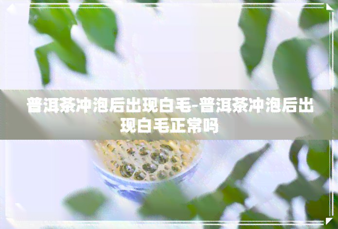 普洱茶冲泡后出现白毛-普洱茶冲泡后出现白毛正常吗