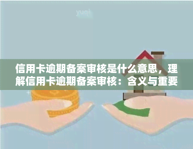 信用卡逾期备案审核是什么意思，理解信用卡逾期备案审核：含义与重要性