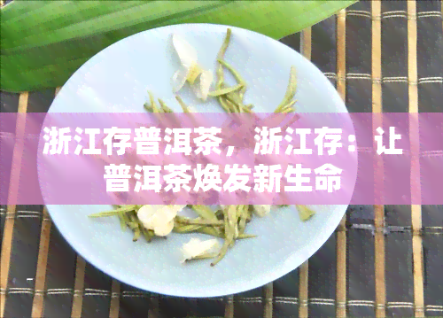 浙江存普洱茶，浙江存：让普洱茶焕发新生命