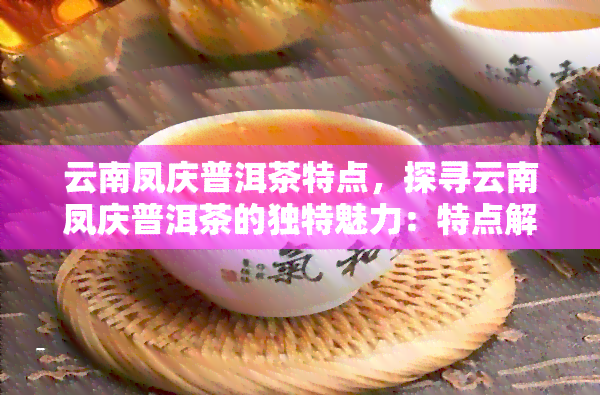 云南凤庆普洱茶特点，探寻云南凤庆普洱茶的独特魅力：特点解析与品鉴指南