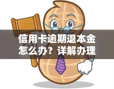 信用卡逾期退本金怎么办？详解办理流程与所需手续