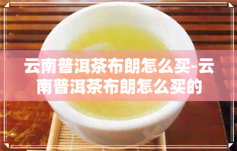 云南普洱茶布朗怎么买-云南普洱茶布朗怎么买的