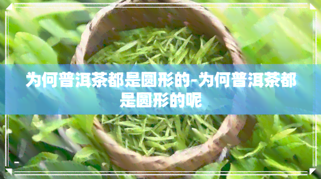 为何普洱茶都是圆形的-为何普洱茶都是圆形的呢