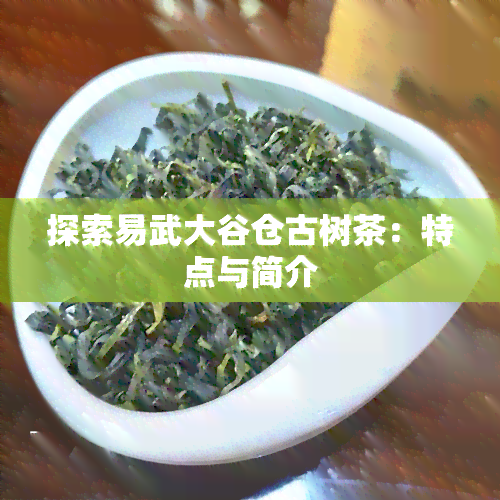 探索易武大谷仓古树茶：特点与简介