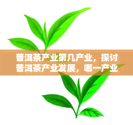 普洱茶产业第几产业，探讨普洱茶产业发展，哪一产业表现更优？