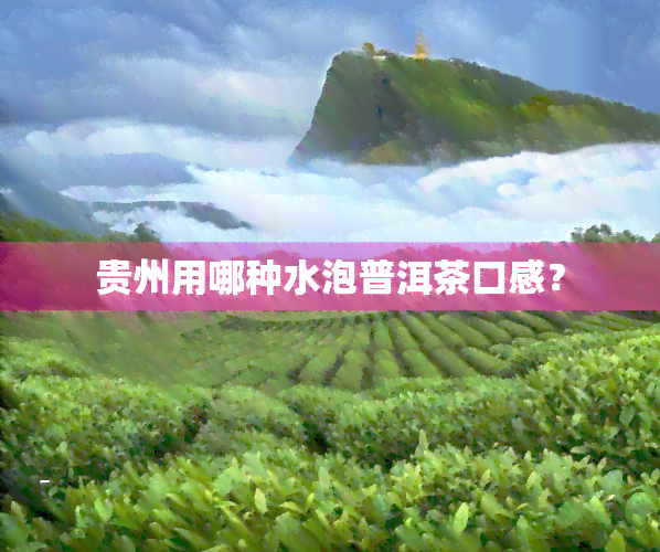 贵州用哪种水泡普洱茶口感？