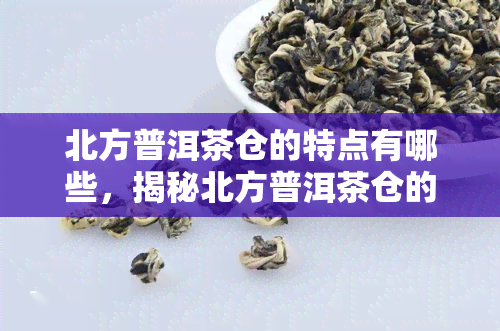 北方普洱茶仓的特点有哪些，揭秘北方普洱茶仓的独特特点