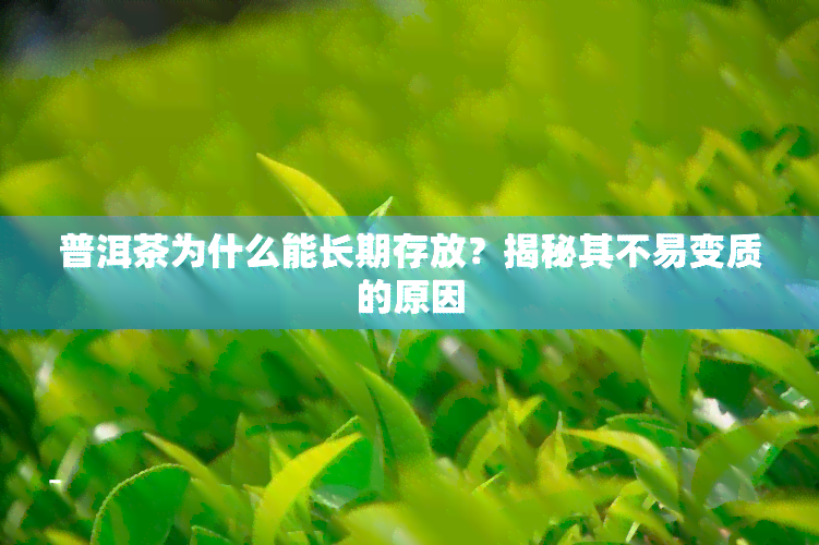 普洱茶为什么能长期存放？揭秘其不易变质的原因