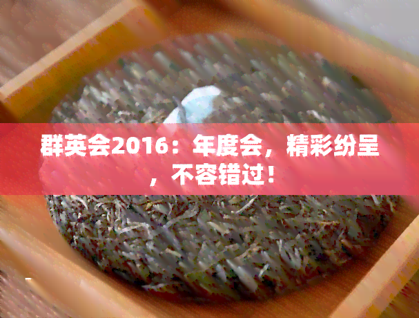 群英会2016：年度会，精彩纷呈，不容错过！