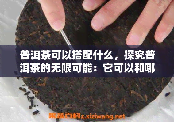 普洱茶可以搭配什么，探究普洱茶的无限可能：它可以和哪些食材完美搭配？