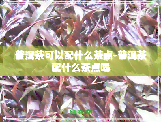 普洱茶可以配什么茶点-普洱茶配什么茶点喝