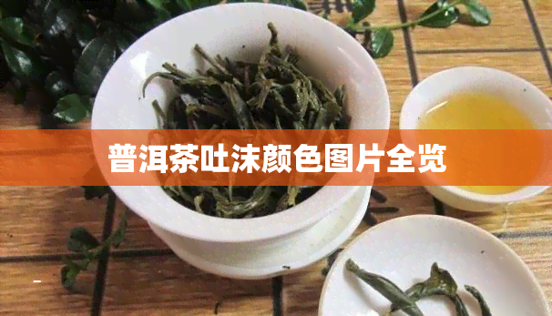 普洱茶吐沫颜色图片全览