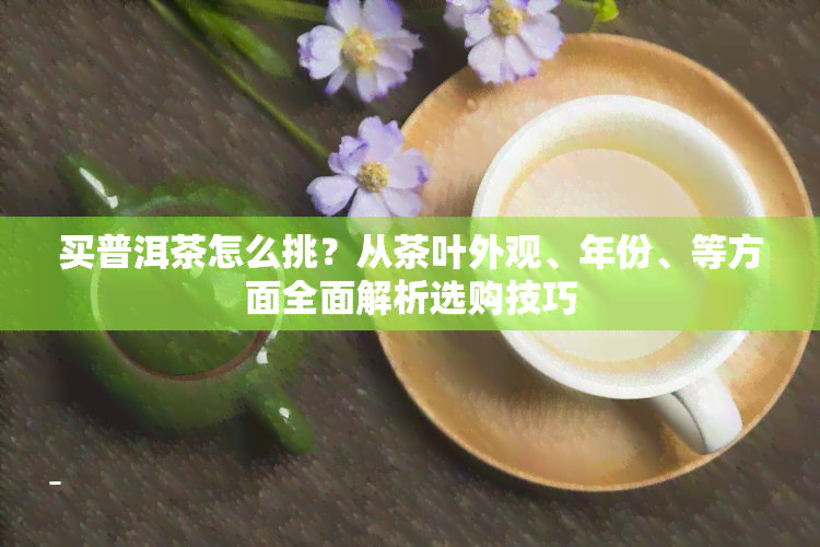 买普洱茶怎么挑？从茶叶外观、年份、等方面全面解析选购技巧