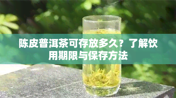 陈皮普洱茶可存放多久？了解饮用期限与保存方法