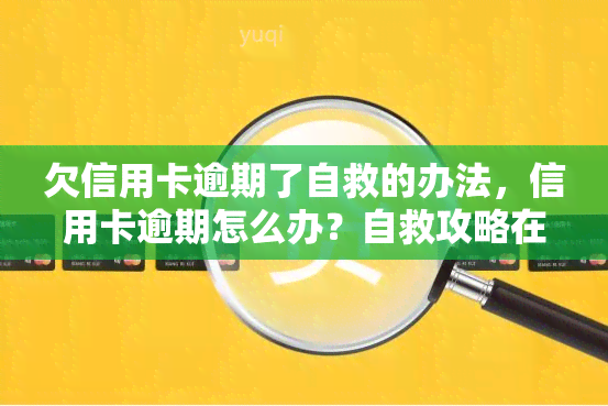 欠信用卡逾期了自救的办法，信用卡逾期怎么办？自救攻略在此！