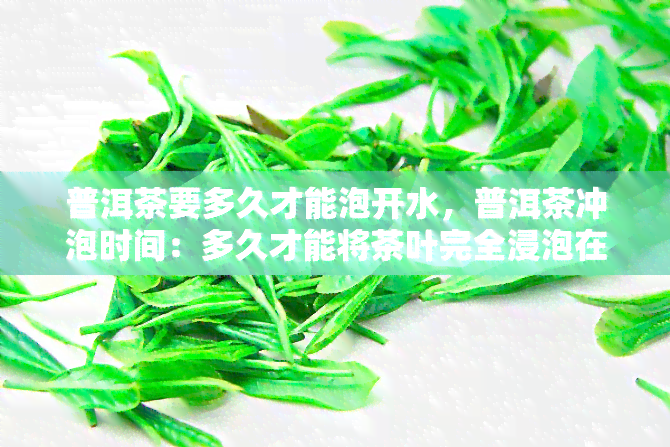 普洱茶要多久才能泡开水，普洱茶冲泡时间：多久才能将茶叶完全浸泡在开水中？