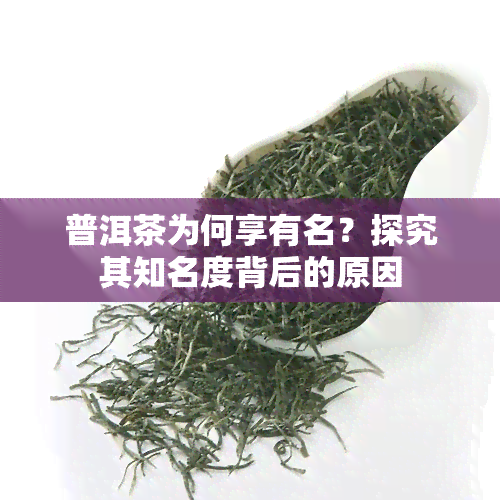 普洱茶为何享有名？探究其知名度背后的原因