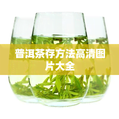 普洱茶存方法高清图片大全