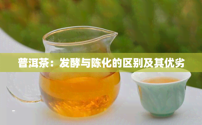 普洱茶：发酵与陈化的区别及其优劣