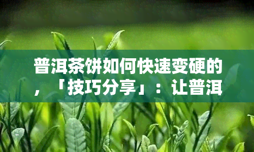 普洱茶饼如何快速变硬的，「技巧分享」：让普洱茶饼快速变硬的方法