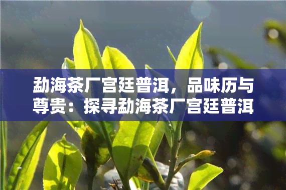 勐海茶厂宫廷普洱，品味历与尊贵：探寻勐海茶厂宫廷普洱的魅力