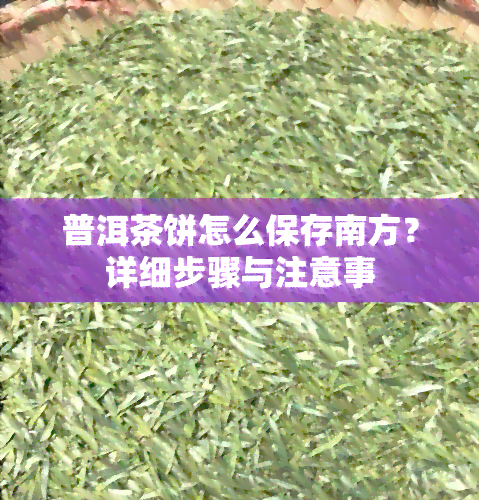 普洱茶饼怎么保存南方？详细步骤与注意事