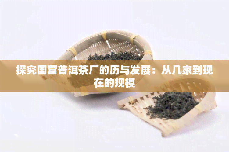 探究国营普洱茶厂的历与发展：从几家到现在的规模