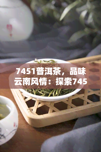 7451普洱茶，品味云南风情：探索7451普洱茶的世界