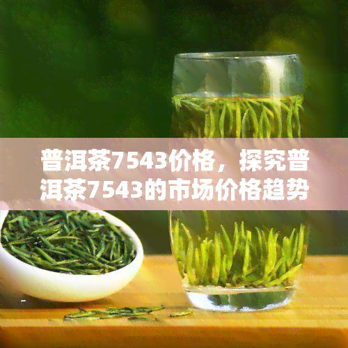 普洱茶7543价格，探究普洱茶7543的市场价格趋势与购买建议