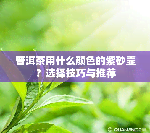 普洱茶用什么颜色的紫砂壶？选择技巧与推荐