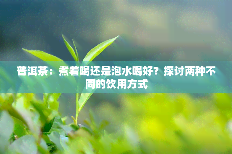 普洱茶：煮着喝还是泡水喝好？探讨两种不同的饮用方式