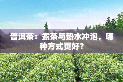 普洱茶：煮茶与热水冲泡，哪种方式更好？