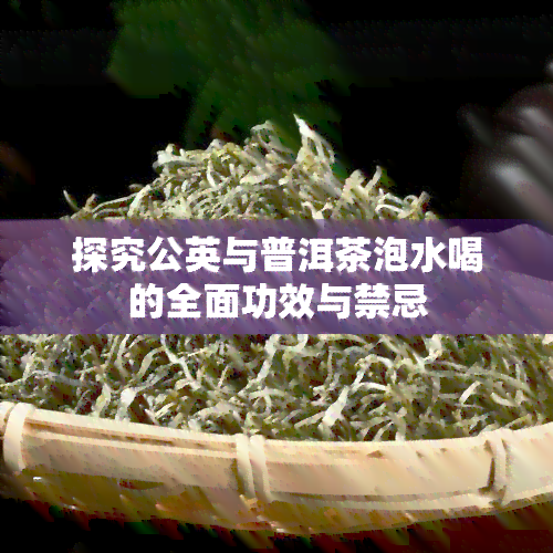 探究公英与普洱茶泡水喝的全面功效与禁忌