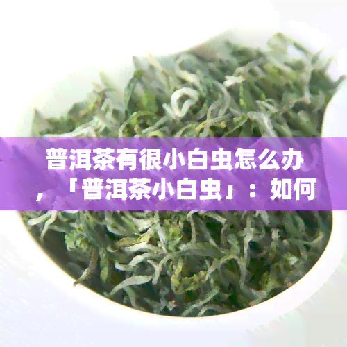 普洱茶有很小白虫怎么办，「普洱茶小白虫」：如何处理茶叶中的小白虫？