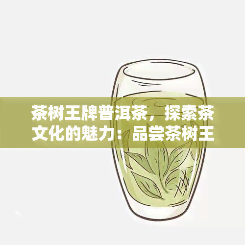 茶树王牌普洱茶，探索茶文化的魅力：品尝茶树王牌普洱茶