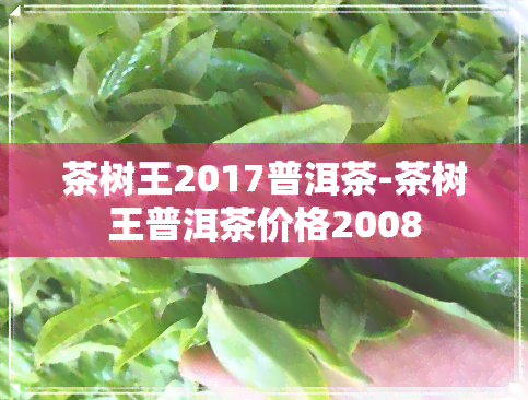 茶树王2017普洱茶-茶树王普洱茶价格2008